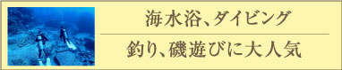 海水浴ダイビング釣り磯遊び大人気